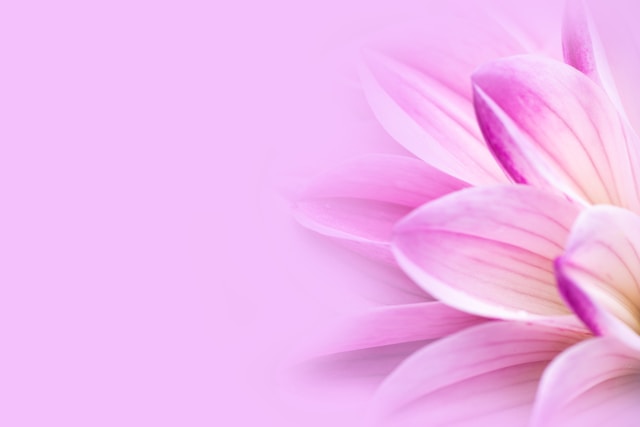 Grentonvallis közösség